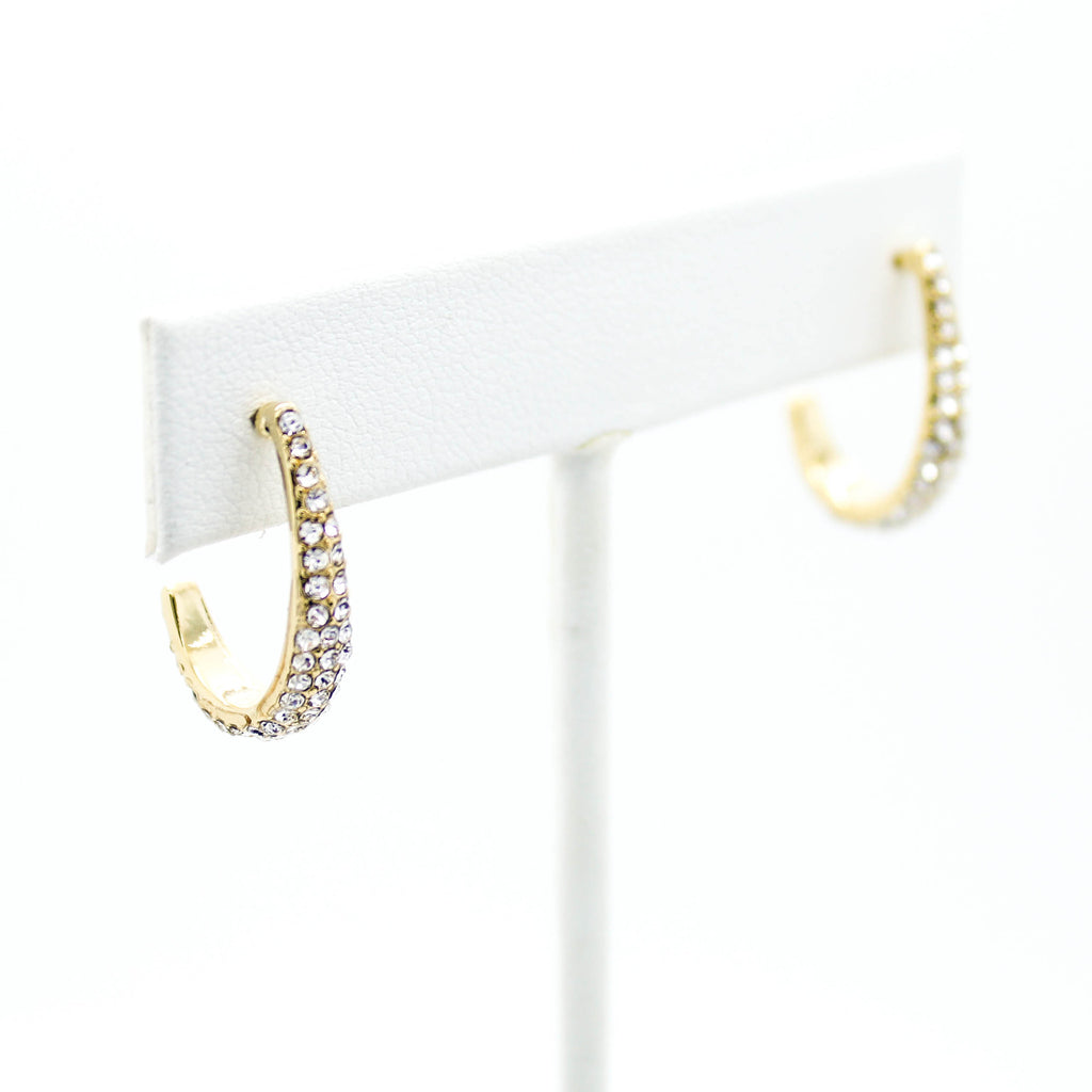 Curvy line earrings
